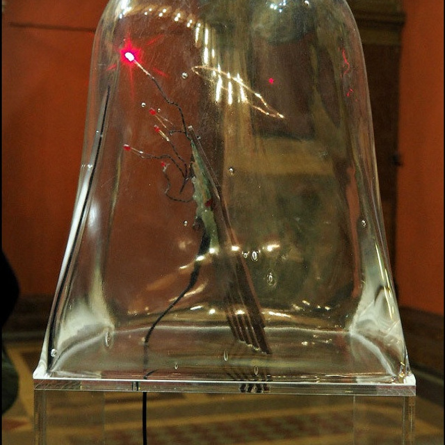 Киберфест-13 - Люминография - luminografia.ru