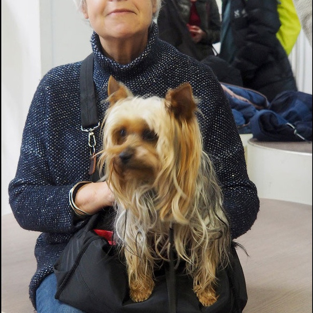 Феноменология восприятия - Люминография - luminografia.ru