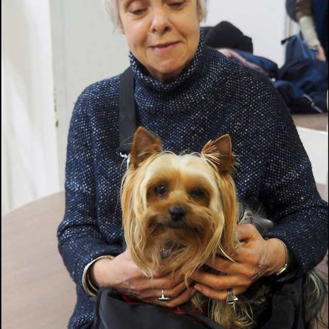 Феноменология восприятия - Люминография - luminografia.ru