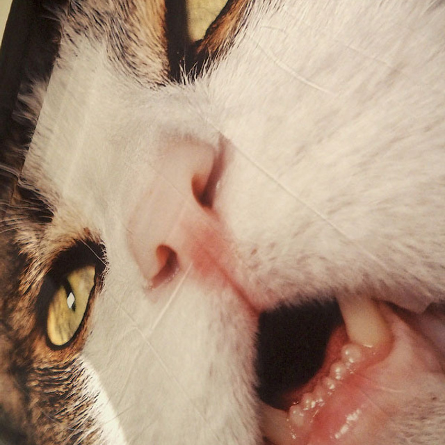 Выставка номинантов Премии С. Курехина- Люминография - luminografia.ru