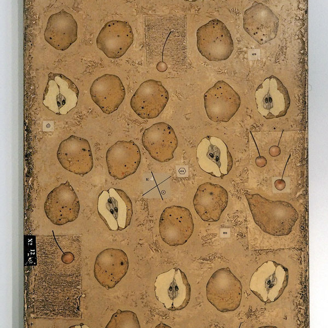 Послание господину Ф. - Люминография - luminografia.ru