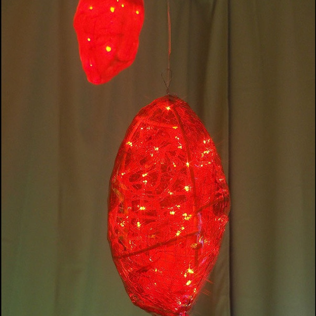 Василисса Саврасова - Люминография - luminografia.ru