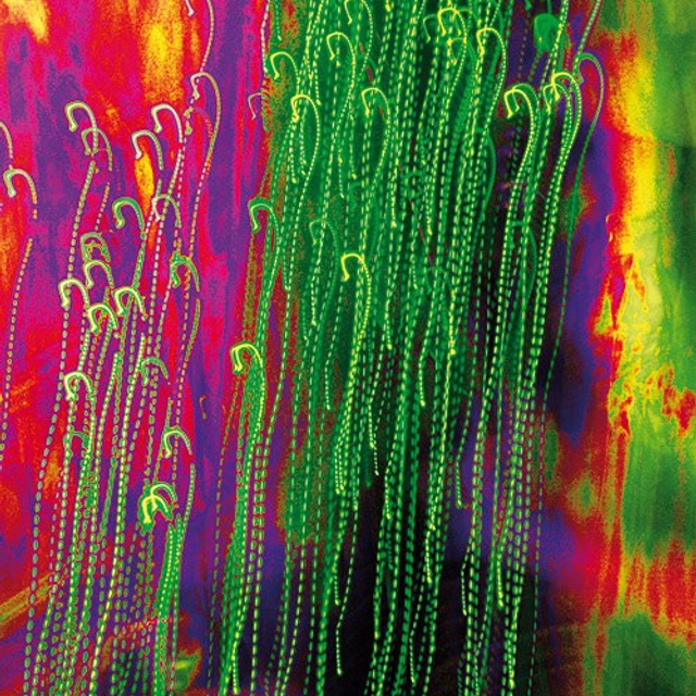 Николай Симоновский