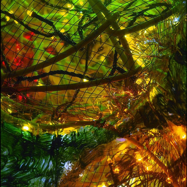 Василисса Саврасова - Люминография - luminografia.ru