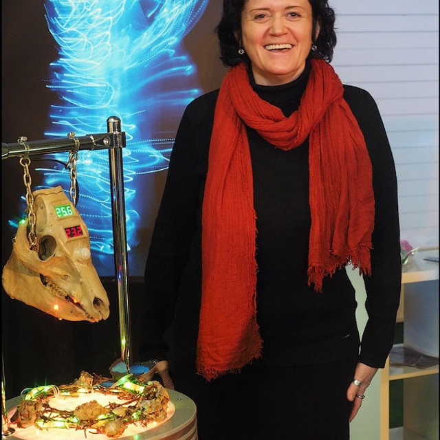 Выставка Люминографического общества - Люминография - Luminografia.ru