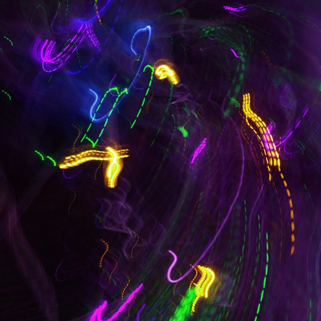 Николай Симоновский