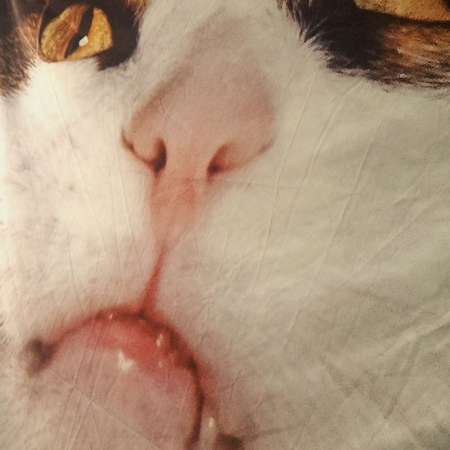 Выставка номинантов Премии С. Курехина- Люминография - luminografia.ru