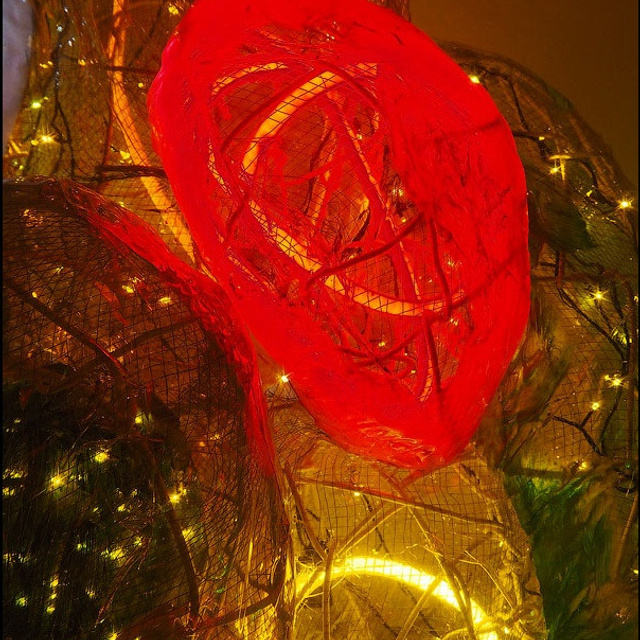 Василисса Саврасова - Люминография - luminografia.ru