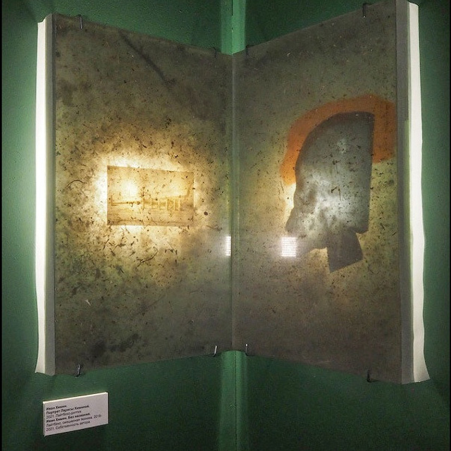 Восстание лайтбоксеров - Люминография - luminografia.ru