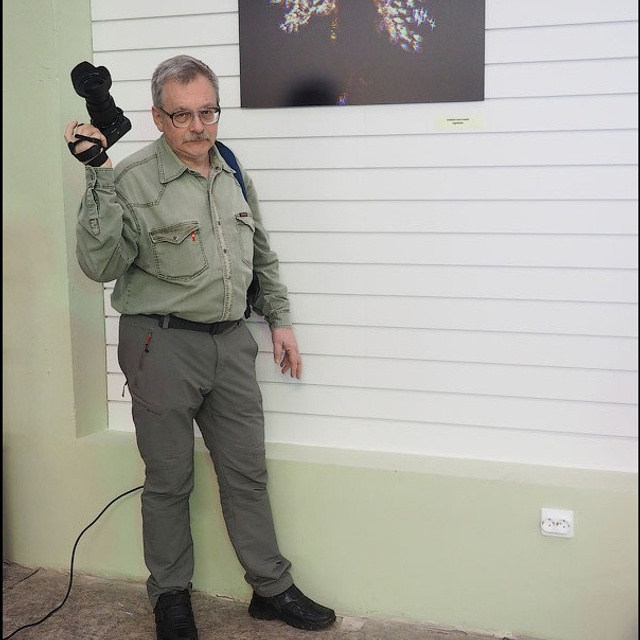 Выставка Люминографического общества - Люминография - Luminografia.ru