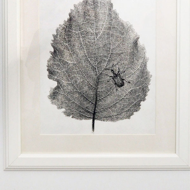 Очарование линии - Люминография - luminografia.ru