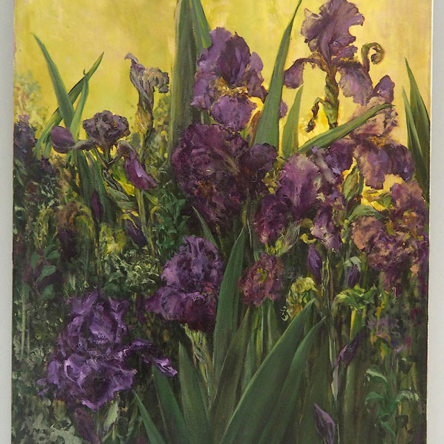 Наталья Разбаева «Мои симфонии» - Люминография - luminografia.ru