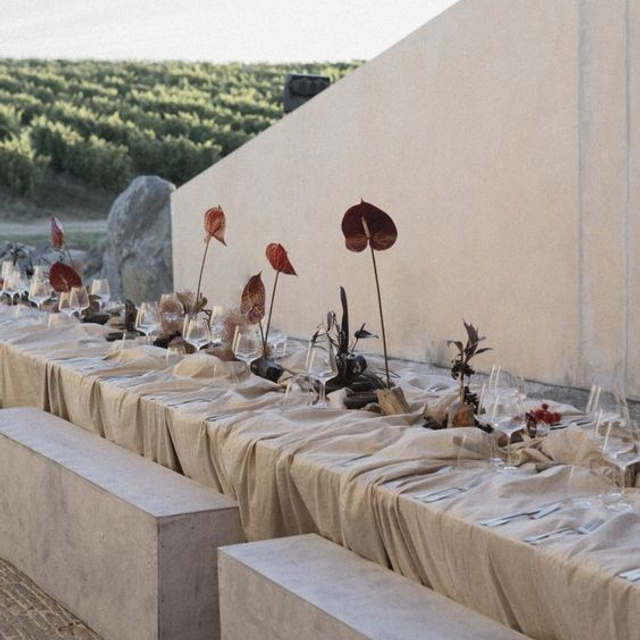 Тренды 2024. Свадебный фотограф Тольятти Самара Холмов Артем