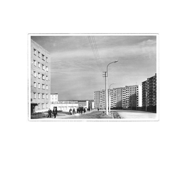 Город белых берёз. Вита Строганова