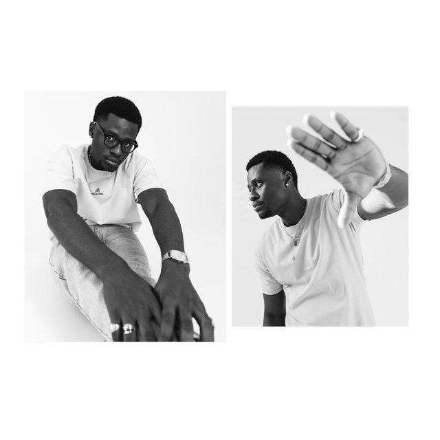 Публикации в журналах. Anika Moc