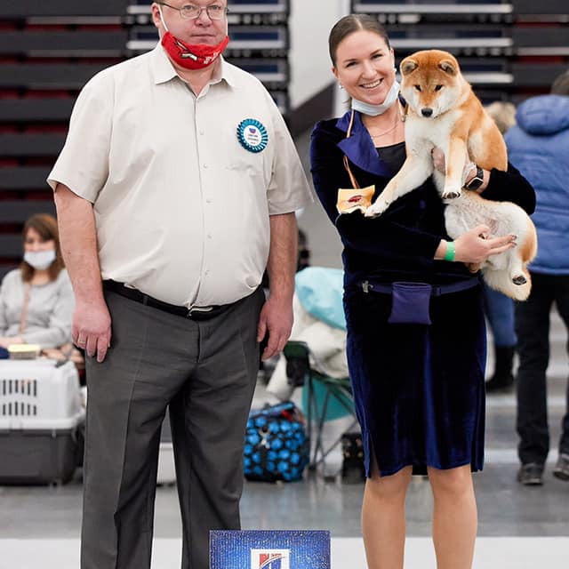 2020. SHIOMARU Shiba and Akita Inu Kennel