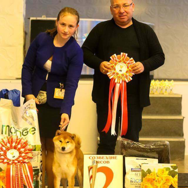 Dog show 2017. SHIOMARU Питомник сиба и акита-ину