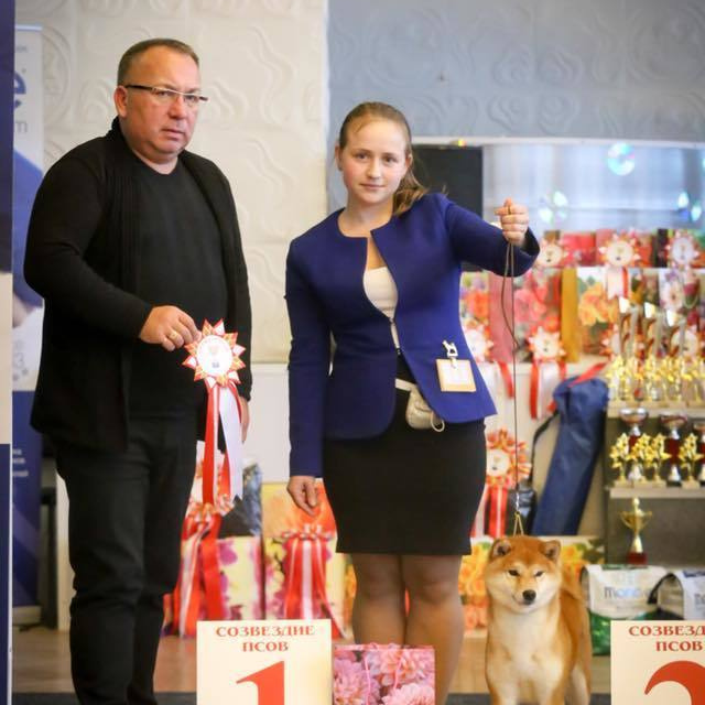 Dog show 2017. SHIOMARU Питомник сиба и акита-ину