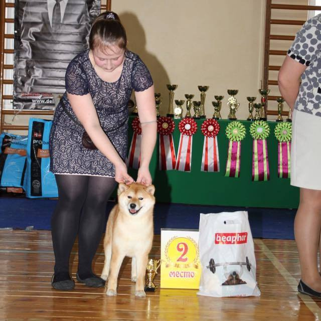 Dog show 2017. SHIOMARU Питомник сиба и акита-ину
