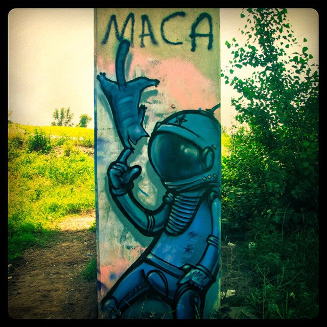 Graffiti. Alexander Stan Shimanov