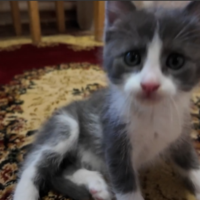 Design by — фото, обучение, портфолио. Фотограф Рязань