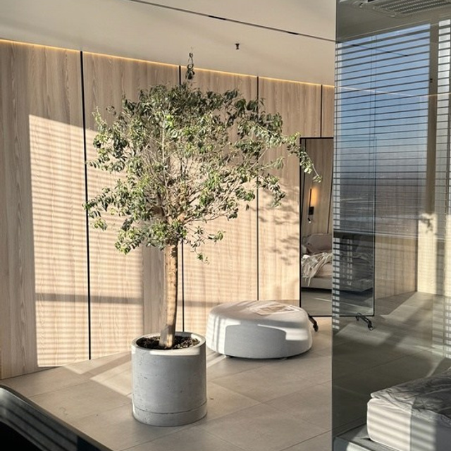 Залы, список студии СПБ. Профессиональный фотограф беременности в СПБ. Стильные фотосессии беременности в стиле минимализм и классическая фотография