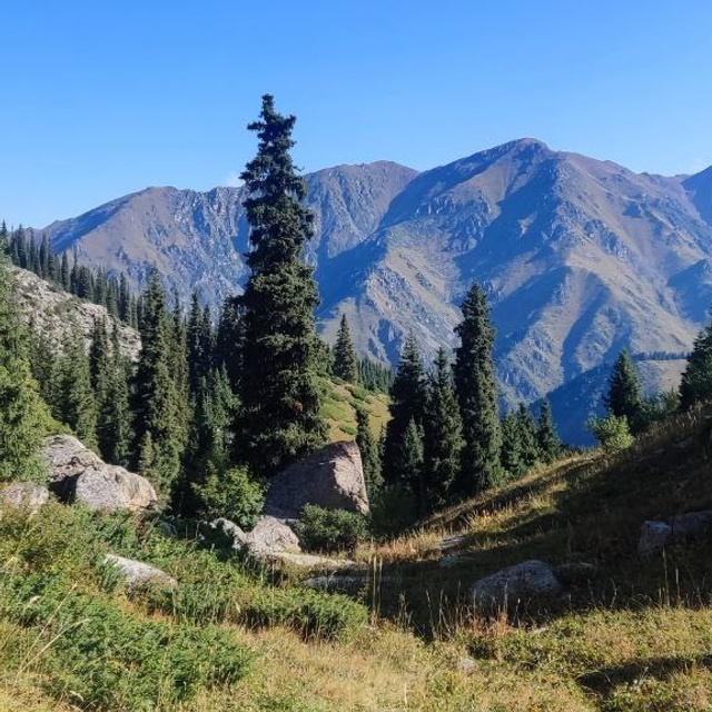 Экскурсия и тур на Большое Алматинское Озеро (БАО) из Алматы