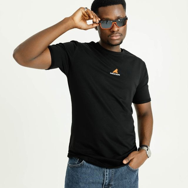 Публикации в журналах. Anika Moc