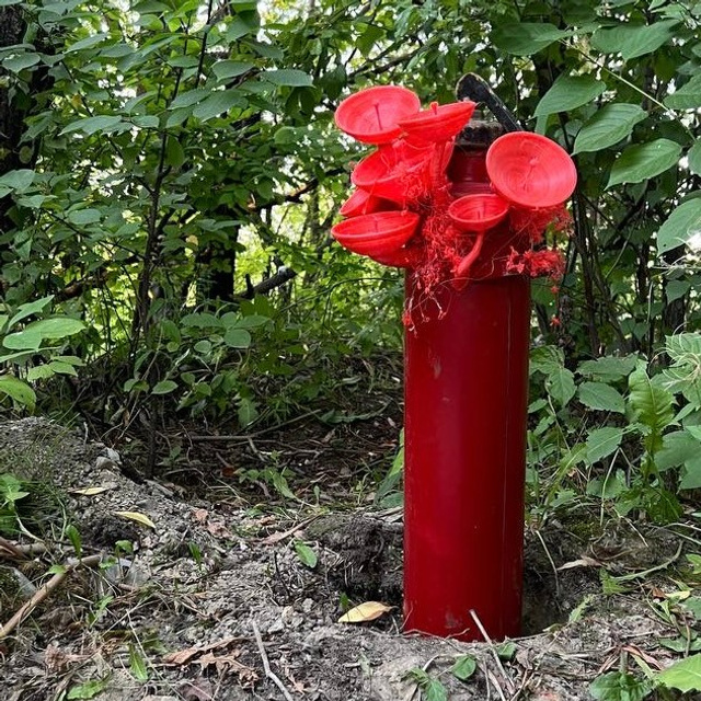 Техно|генное #80. Саша Малышева ● Художник