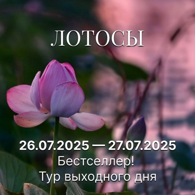 Тур на юг России
