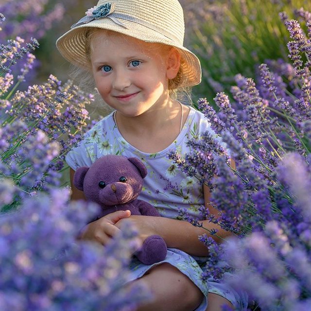 Крымская лаванда в фотографиях