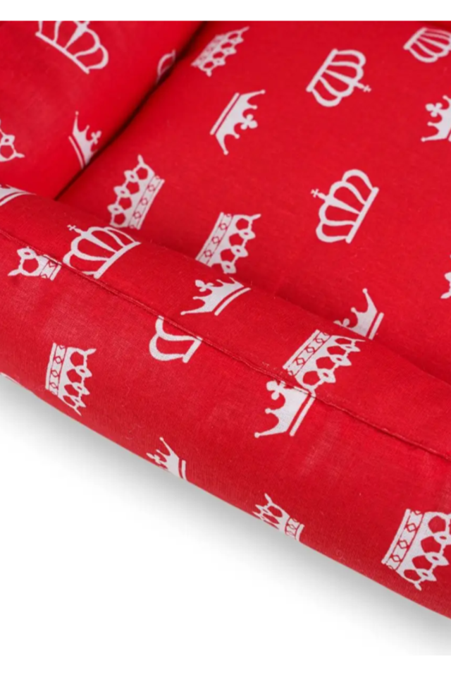 Эффектная съемка лежанок для собак и кошек