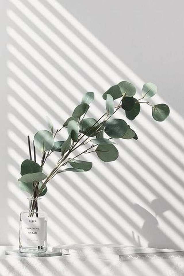 Стеклянные вазы с яркой подложкой