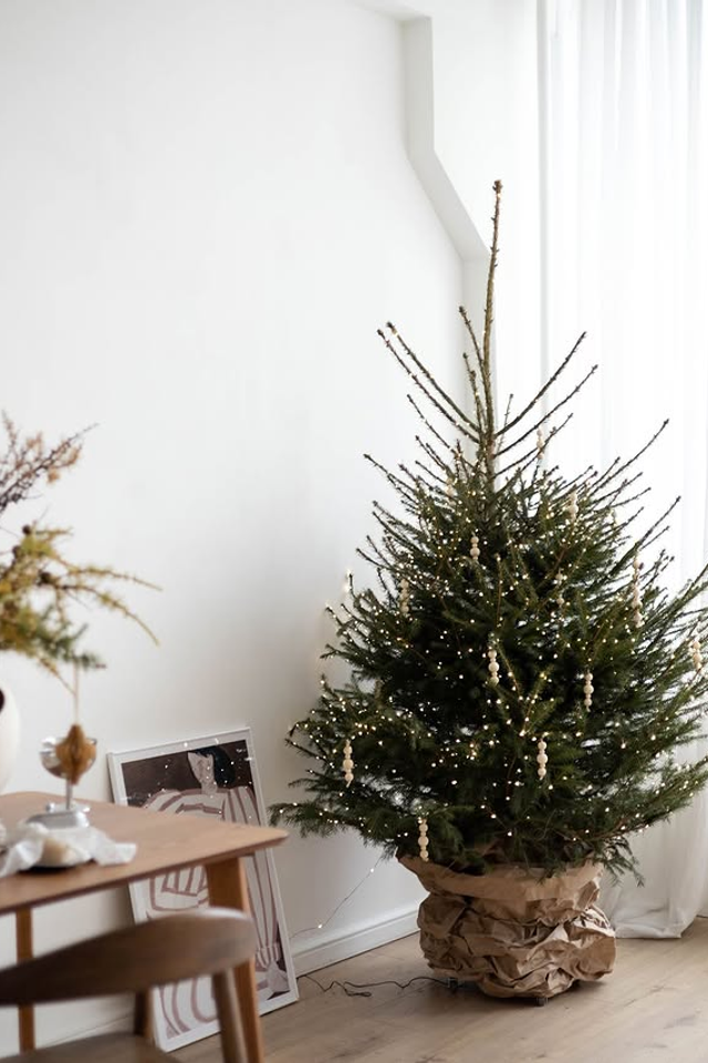 Фотостудии. Фотограф в Минске Людмила Дутко