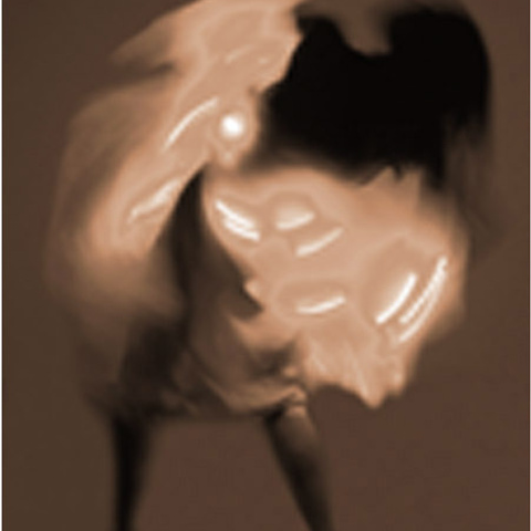 ВЕСНА 2009 в фотографическом разделе выставки было показано несколько люминографических работ