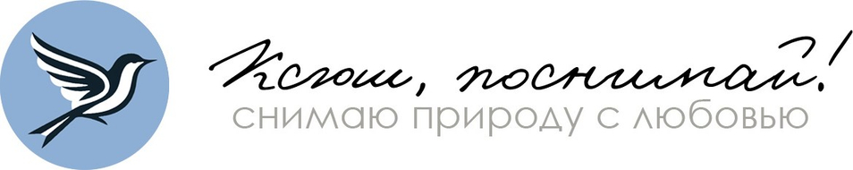 ksush-posnimai.ru