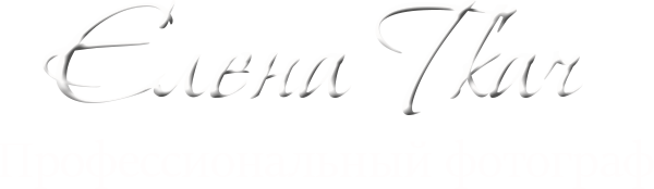 elenatkach.ru