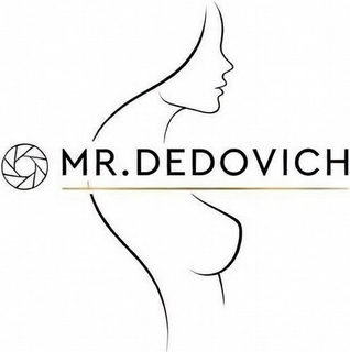dedovich.by