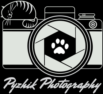 pyzhikphoto.ru