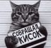 cameraman13.ru