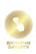 АНО «Центра социальных проектов «Путь в большой мир»