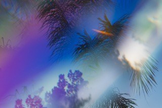 SUMMER. OLGA NEFF. Artist. Visual, Music, Poesy