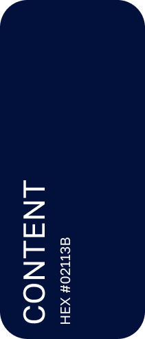 TURBOZAIM Branding. Ui/Ux designer