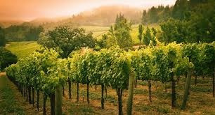 Фототур в Грузию (даты проведения 20–23 августа). Главная