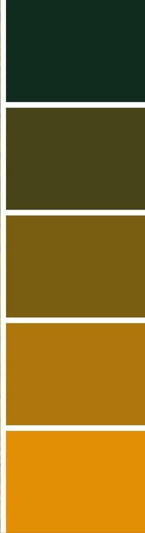 ПОДГОТОВКА К СЪЕМКЕ НА УЛИЦЕ. Школьный и свадебный фотограф Анастасия Соколовская, Тайшет