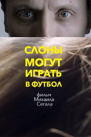 Слоны могут играть в футбол. Александр Прищепов - фотограф, режиссёр, продюсер