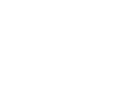 shirinova-anzhelika.ru