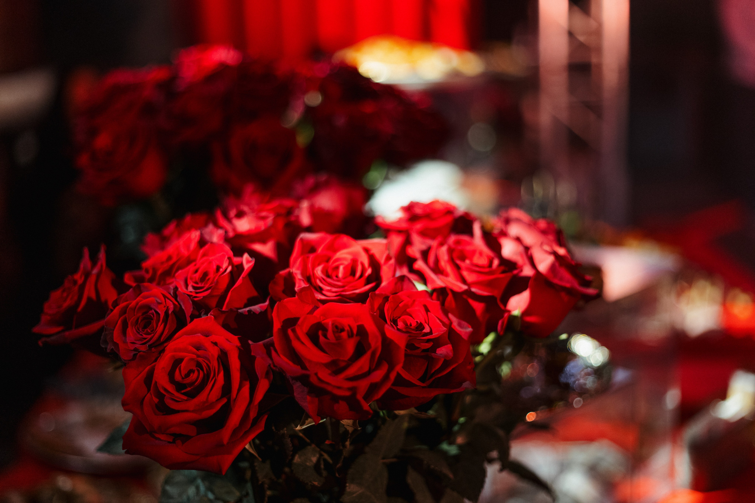 LA FAMIGLIA — SOLOVI — 1 YEAR. СВОИ. ФОТООТЧЕТЫ-СОБЫТИЯ-МЕСТА