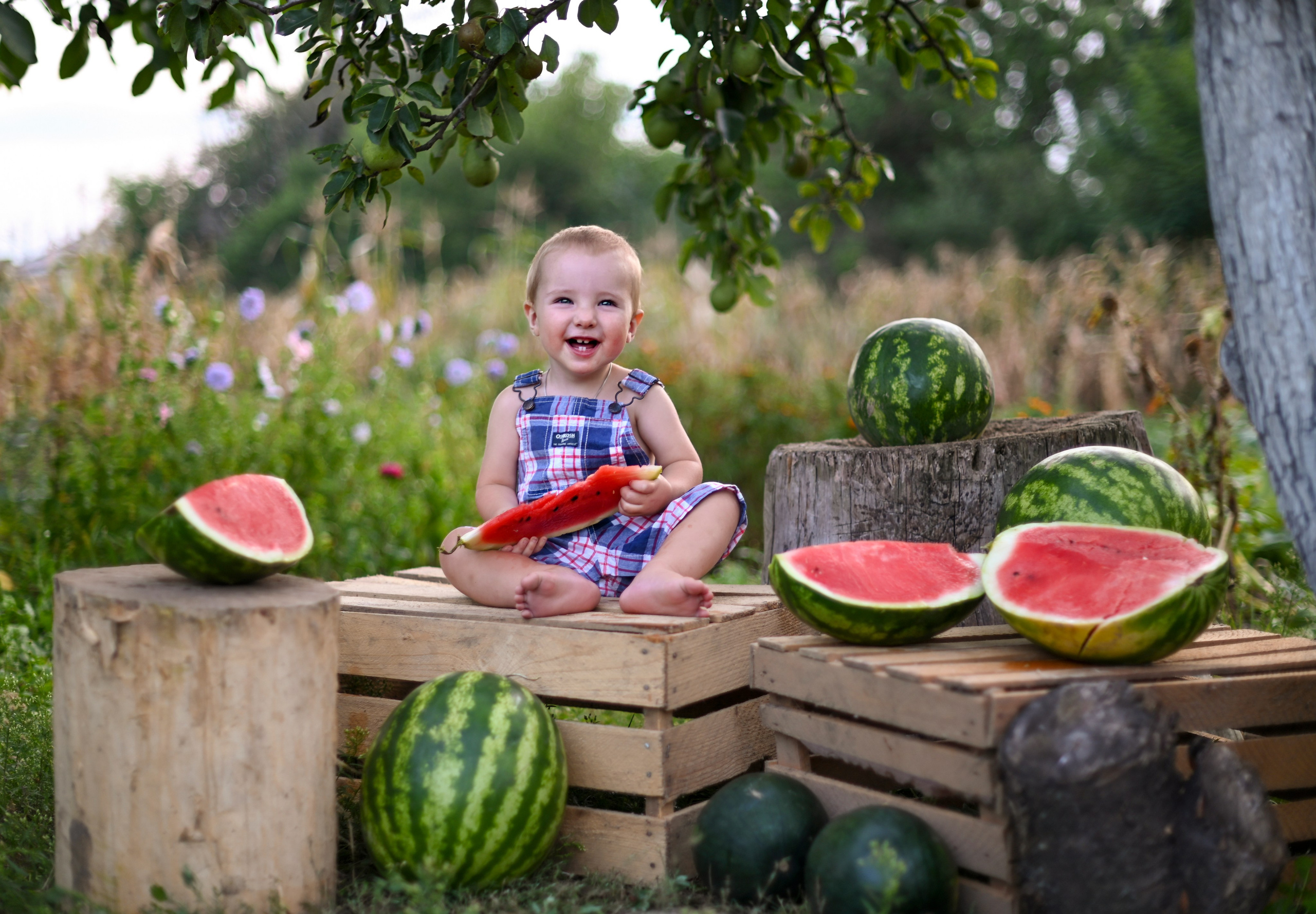 Арбузы. Детский и семейный фотограф г. Москва Оксана Катаджи
