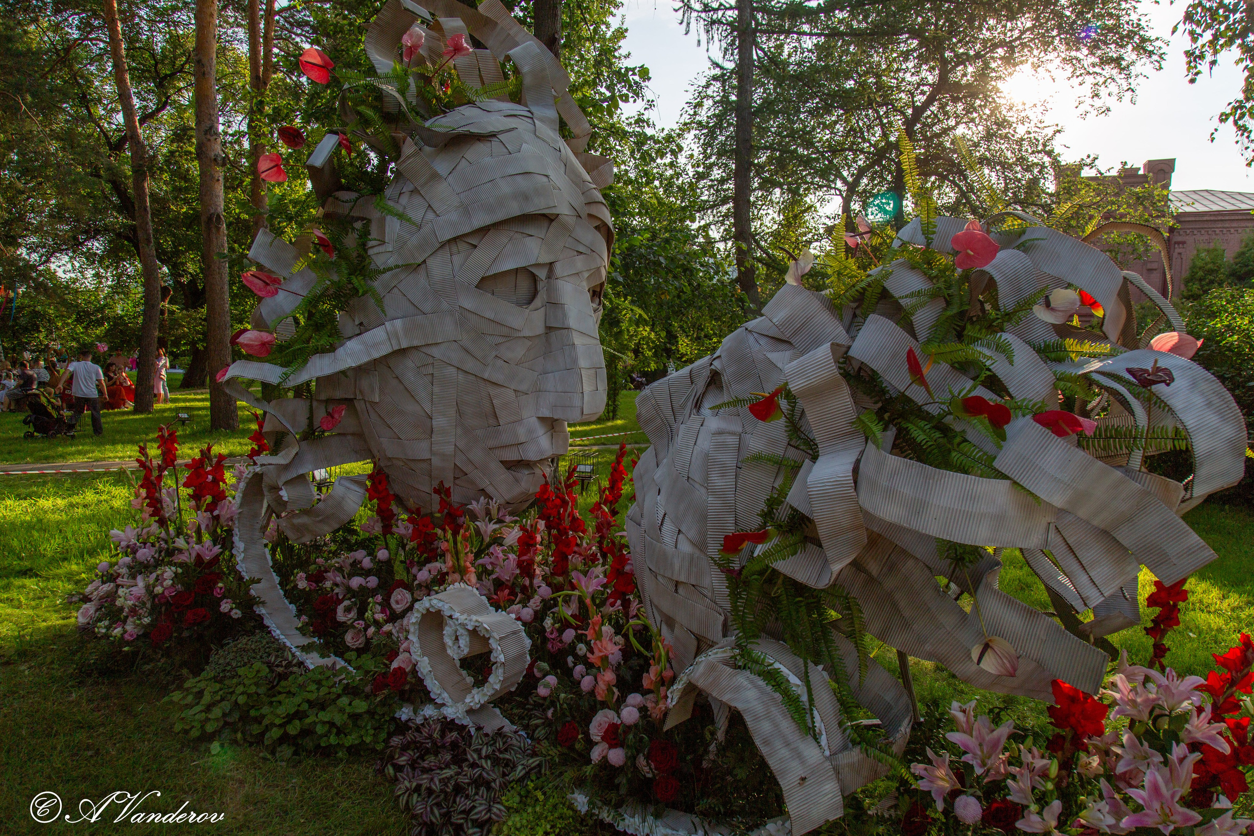 День города 03.08.2024. Фотограф Омск | Александр Вандеров